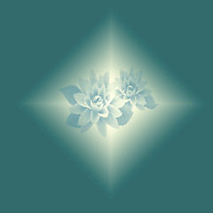 Image showing  abstract lotus background 