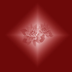 Image showing  abstract lotus background 