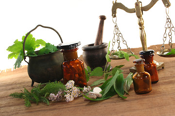 Image showing Homeopathy