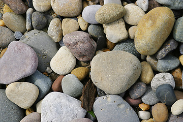 Image showing Pebbles