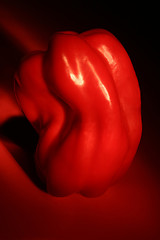 Image showing Neon Pepper