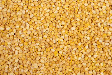 Image showing Moong Daal lentils