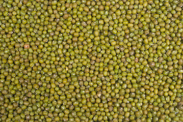 Image showing Moong beans