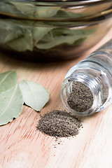 Image showing black pepper in shaker and bay leaves