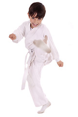 Image showing Karate boy excercising