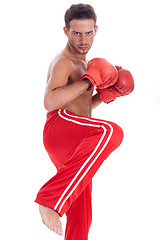 Image showing Kickboxing