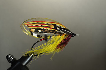 Image showing Full-dress classic salmon fly