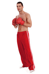 Image showing Young Boxer