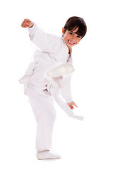 Image showing Karate Kid