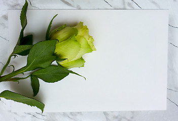 Image showing Rose on a blank leaf paper