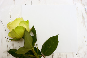 Image showing Rose on a blank leaf paper