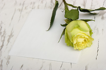 Image showing Rose on a blank leaf paper