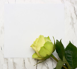 Image showing Rose on a blank leaf paper