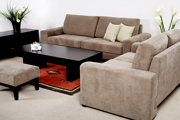 Image showing Classic furniture in a modern living room