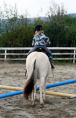 Image showing Horse jumping