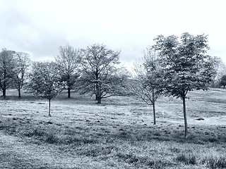 Image showing Primrose Hill, London