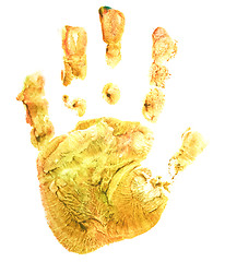 Image showing Yellow print baby palm