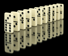 Image showing Bones of domino on black