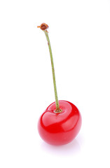 Image showing cherry