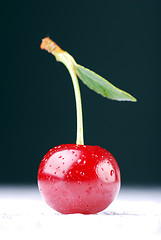 Image showing A single cherrie