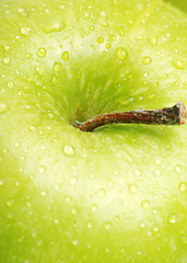 Image showing fresh green apple 