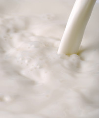 Image showing pouring milk