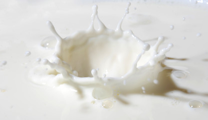 Image showing milk splash