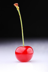 Image showing Two cherries