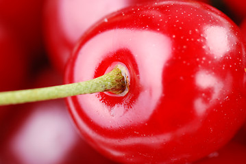 Image showing bunch of fresh cherries