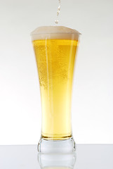 Image showing Glass of beer 