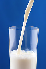 Image showing Pouring milk