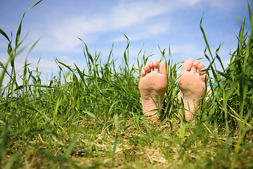 Image showing Bare feet in a grass