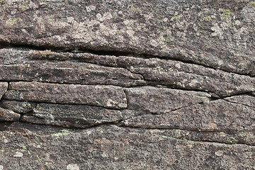 Image showing surface of a granite rock covered with a lichen