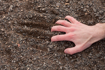 Image showing Hand clinging to a stony ground