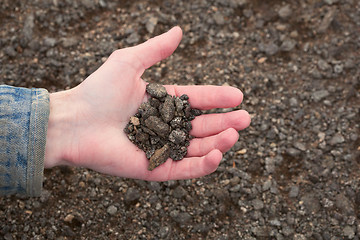Image showing Hand of the farmer holding handful of infertile earth
