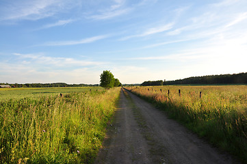 Image showing Summer road