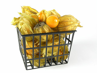 Image showing physalis