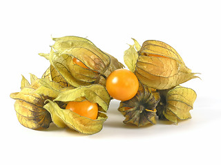 Image showing physalis