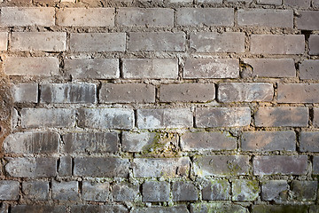 Image showing Background with old grunge brick wall