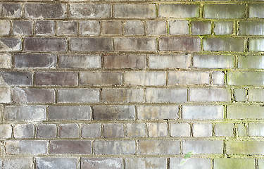 Image showing Brick gray old wall