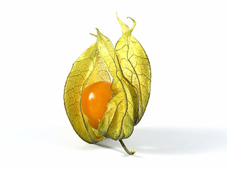 Image showing physalis