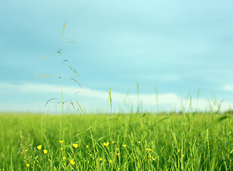 Image showing Landscape with a grass in the foreground