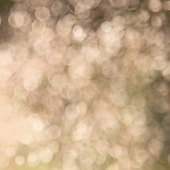 Image showing Natural blurred abstract background