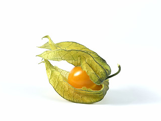 Image showing physalis