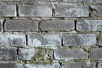 Image showing Old brick grey wall with a mould texture