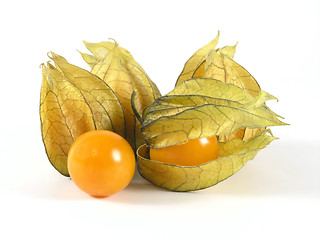 Image showing physalis