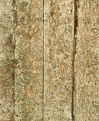 Image showing Old board dirty grunge background