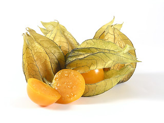 Image showing physalis