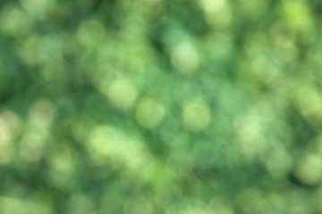 Image showing Abstract blurred green background