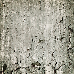 Image showing Loathsome texture from the peeled wall